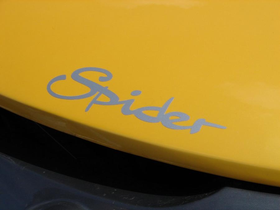 Логотип Renault Sport Spider 1995 года  (фото 44 из 76)